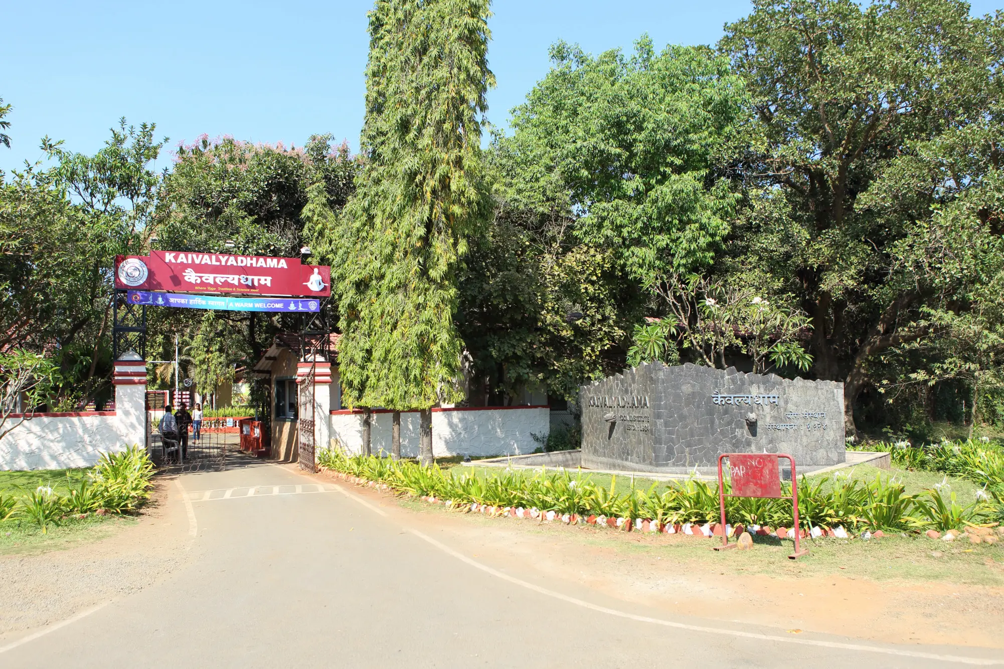 カイヴァルヤダーマ・ヨーガ研究所との提携について