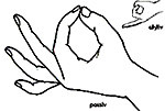Yoga &amp; Wellness Chandra by Ashtangini Surgeon